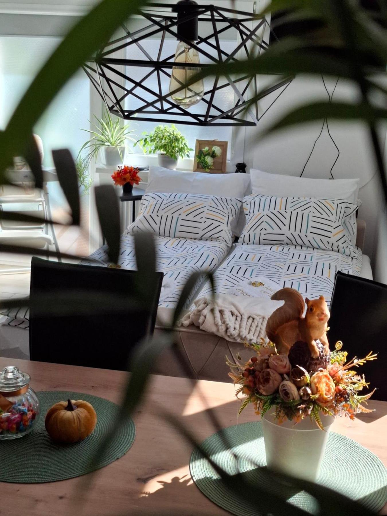 Josephine Apartment Subotica Buitenkant foto